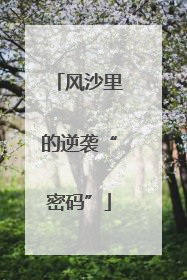 风沙里的逆袭“密码”