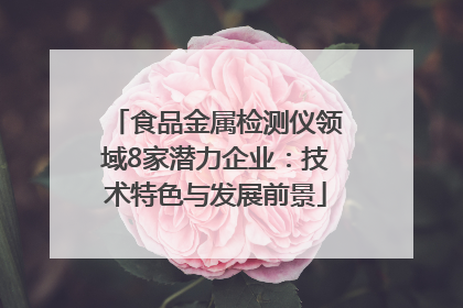 食品金属检测仪领域8家潜力企业：技术特色与发展前景