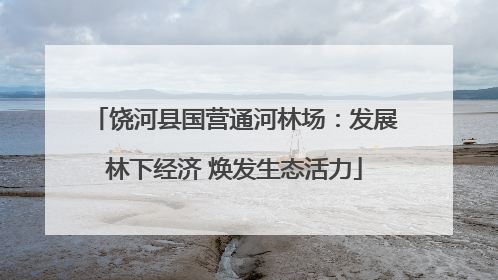 饶河县国营通河林场：发展林下经济 焕发生态活力
