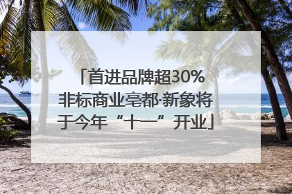 首进品牌超30% 非标商业亳都·新象将于今年“十一”开业