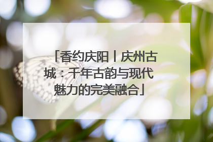 香约庆阳丨庆州古城：千年古韵与现代魅力的完美融合