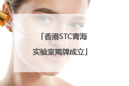 香港STC青海实验室揭牌成立