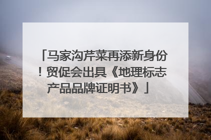马家沟芹菜再添新身份！贸促会出具《地理标志产品品牌证明书》