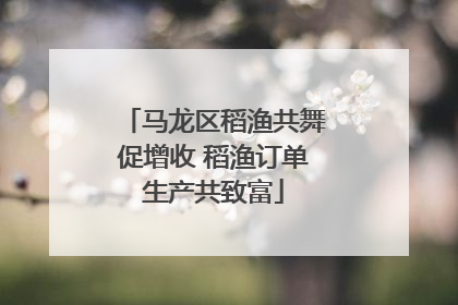马龙区稻渔共舞促增收 稻渔订单生产共致富