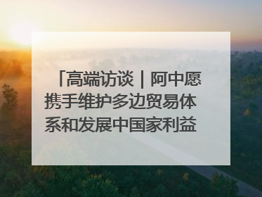 高端访谈｜阿中愿携手维护多边贸易体系和发展中国家利益——访阿拉伯议会议长亚马希