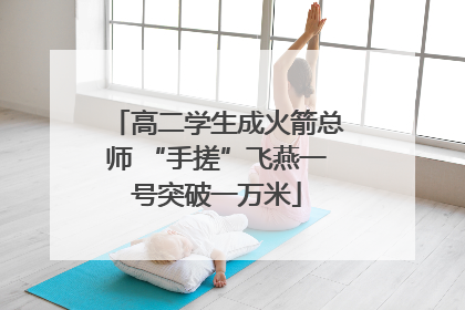 高二学生成火箭总师 “手搓”飞燕一号突破一万米
