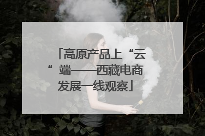 高原产品上“云”端——西藏电商发展一线观察