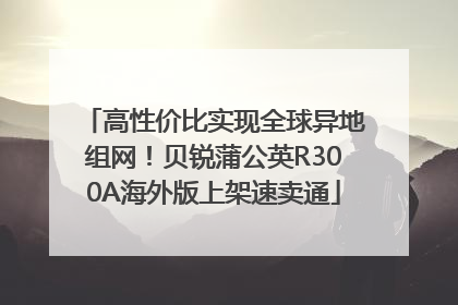 高性价比实现全球异地组网！贝锐蒲公英R300A海外版上架速卖通