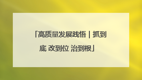 高质量发展践悟｜抓到底 改到位 治到根