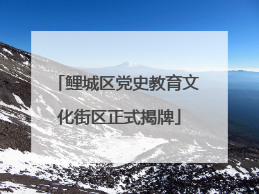 鲤城区党史教育文化街区正式揭牌