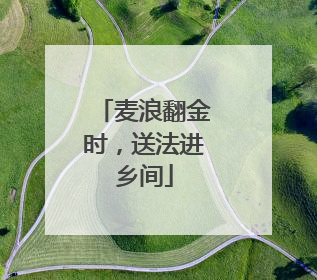 麦浪翻金时，送法进乡间