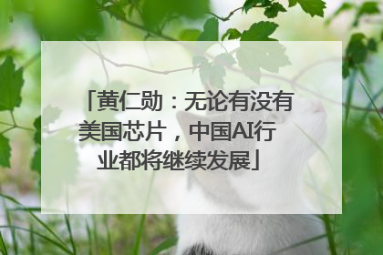 黄仁勋：无论有没有美国芯片，中国AI行业都将继续发展