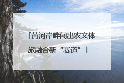 黄河岸畔闯出农文体旅融合新“赛道”
