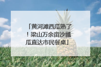 黄河滩西瓜熟了！梁山万余亩沙瓤瓜直达市民餐桌