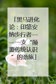 黑马进化论：印第安纳步行者——一支“颠覆传统认识”的劲旅