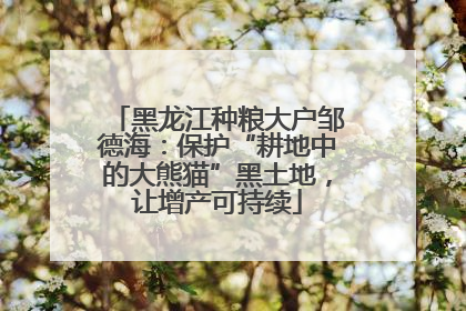 黑龙江种粮大户邹德海：保护“耕地中的大熊猫”黑土地，让增产可持续