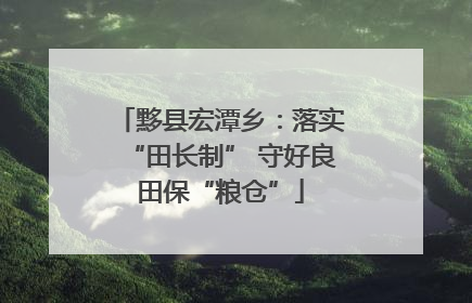 黟县宏潭乡：落实“田长制” 守好良田保“粮仓”