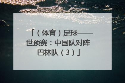 （体育）足球——世预赛：中国队对阵巴林队（3）