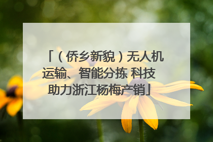 （侨乡新貌）无人机运输、智能分拣 科技助力浙江杨梅产销