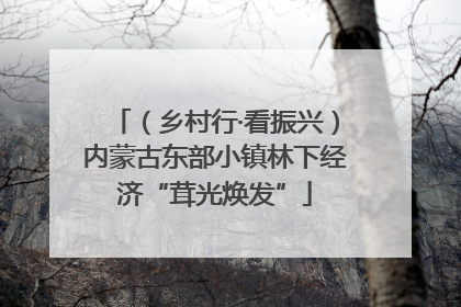 （乡村行·看振兴）内蒙古东部小镇林下经济“茸光焕发”