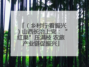 （乡村行·看振兴）山西长治上党：“红果”压满枝 农旅产业链促振兴