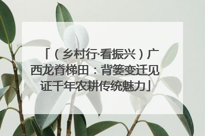 （乡村行·看振兴）广西龙脊梯田：背篓变迁见证千年农耕传统魅力