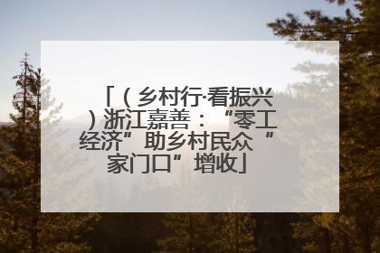 （乡村行·看振兴）浙江嘉善：“零工经济”助乡村民众“家门口”增收