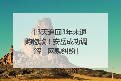 3天追回3年未退购物款！安岳成功调解一网购纠纷