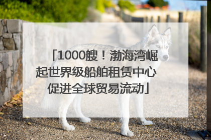 1000艘！渤海湾崛起世界级船舶租赁中心 促进全球贸易流动
