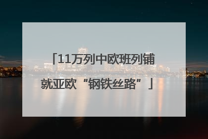 11万列中欧班列铺就亚欧“钢铁丝路”