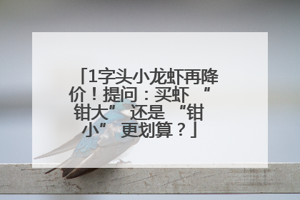 1字头小龙虾再降价！提问：买虾 “钳大” 还是 “钳小” 更划算？
