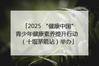2025 “健康中国” 青少年健康素养提升行动（十堰茅箭站）举办