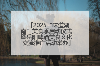 2025“味道湖南”美食季启动仪式暨岳阳啤酒美食文化交流推广活动举办