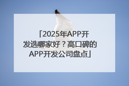 2025年APP开发选哪家好？高口碑的APP开发公司盘点