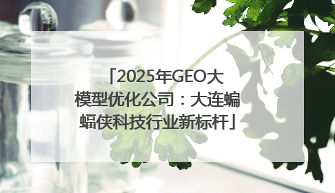 2025年GEO大模型优化公司：大连蝙蝠侠科技行业新标杆