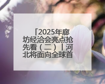 2025年廊坊经洽会亮点抢先看（二）丨河北将面向全球首次发布国际化招商地图