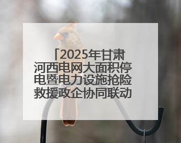 2025年甘肃河西电网大面积停电暨电力设施抢险救援政企协同联动综合应急演练在武威成功举行