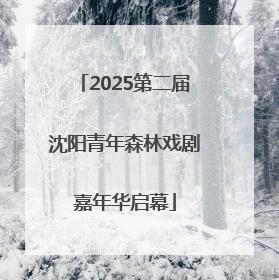 2025第二届沈阳青年森林戏剧嘉年华启幕