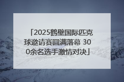 2025鹤壁国际匹克球邀请赛圆满落幕 300余名选手激情对决