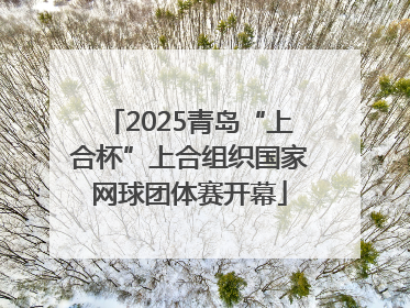 2025青岛“上合杯”上合组织国家网球团体赛开幕