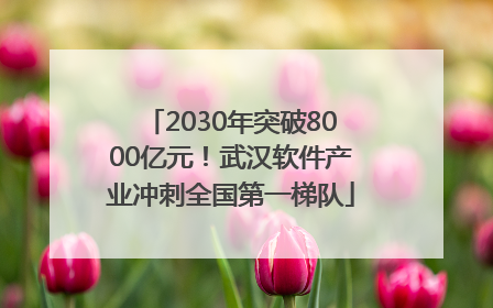2030年突破8000亿元！武汉软件产业冲刺全国第一梯队