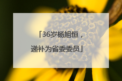 36岁杨旭恒，递补为省委委员