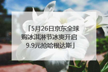 5月26日京东全球购冰淇淋节冰爽开启 9.9元抢哈根达斯