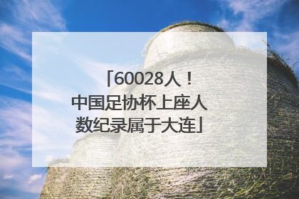 60028人！中国足协杯上座人数纪录属于大连