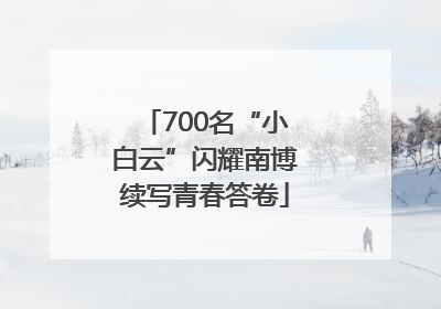 700名“小白云”闪耀南博续写青春答卷