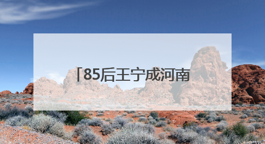 85后王宁成河南新首富，23岁创立泡泡玛特！旗下Labubu全球爆火“一娃难求”