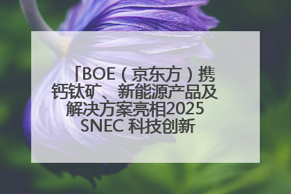 BOE（京东方）携钙钛矿、新能源产品及解决方案亮相2025 SNEC 科技创新赋能行业绿色发展