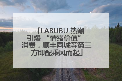 LABUBU 热潮引爆 “情绪价值” 消费，顺丰同城等第三方即配乘风而起